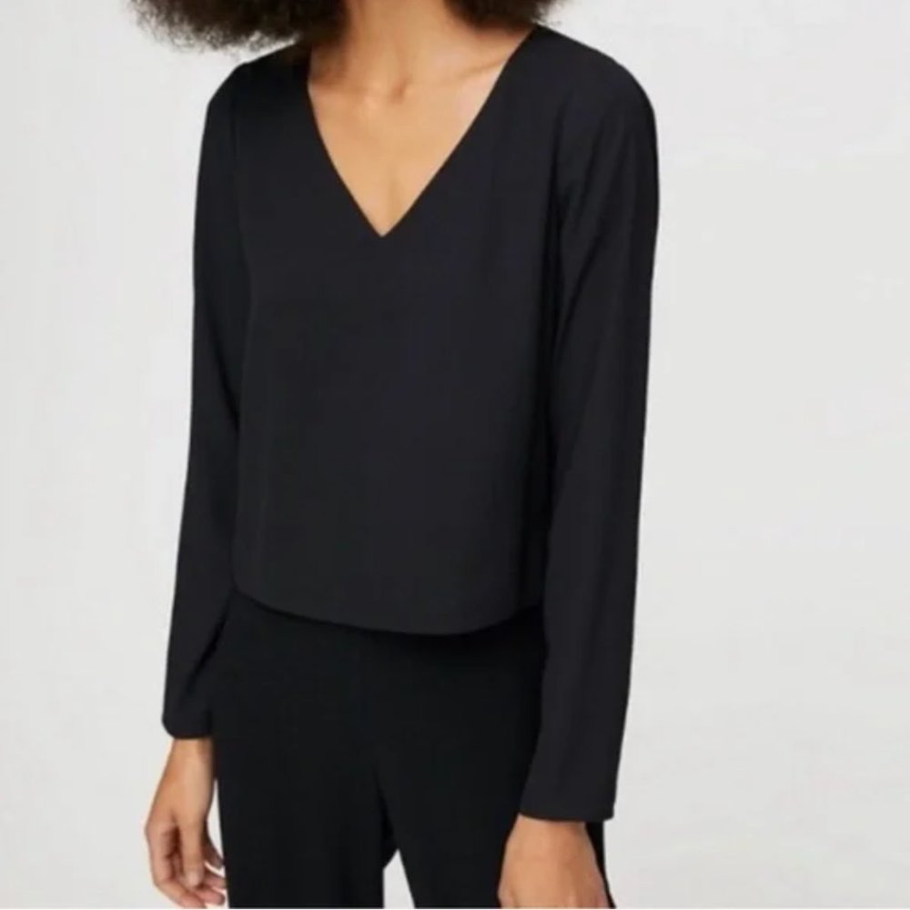 Aritzia Long Sleeve Blouse - Crop V-Neck